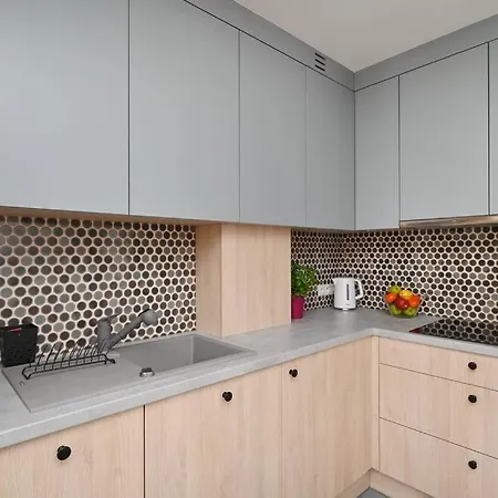 Apartman Powisle Solec Centre! Private Parking Varsó